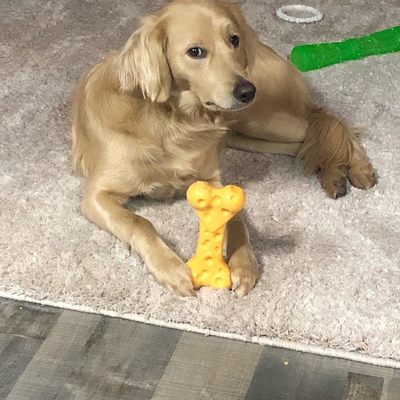 Meet your Posher, Amanda - Picture 1 of 1